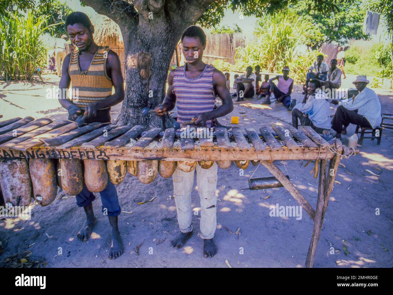 Sambia, in der ländlichen Gegend außerhalb von Mongu spielen mehrere Musiker das A silimba Xylophon. Stockfoto