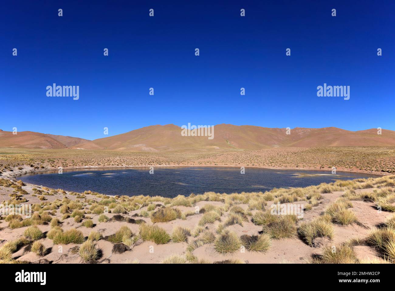 Lagune in großer Höhe im Nordwesten Argentiniens Stockfoto