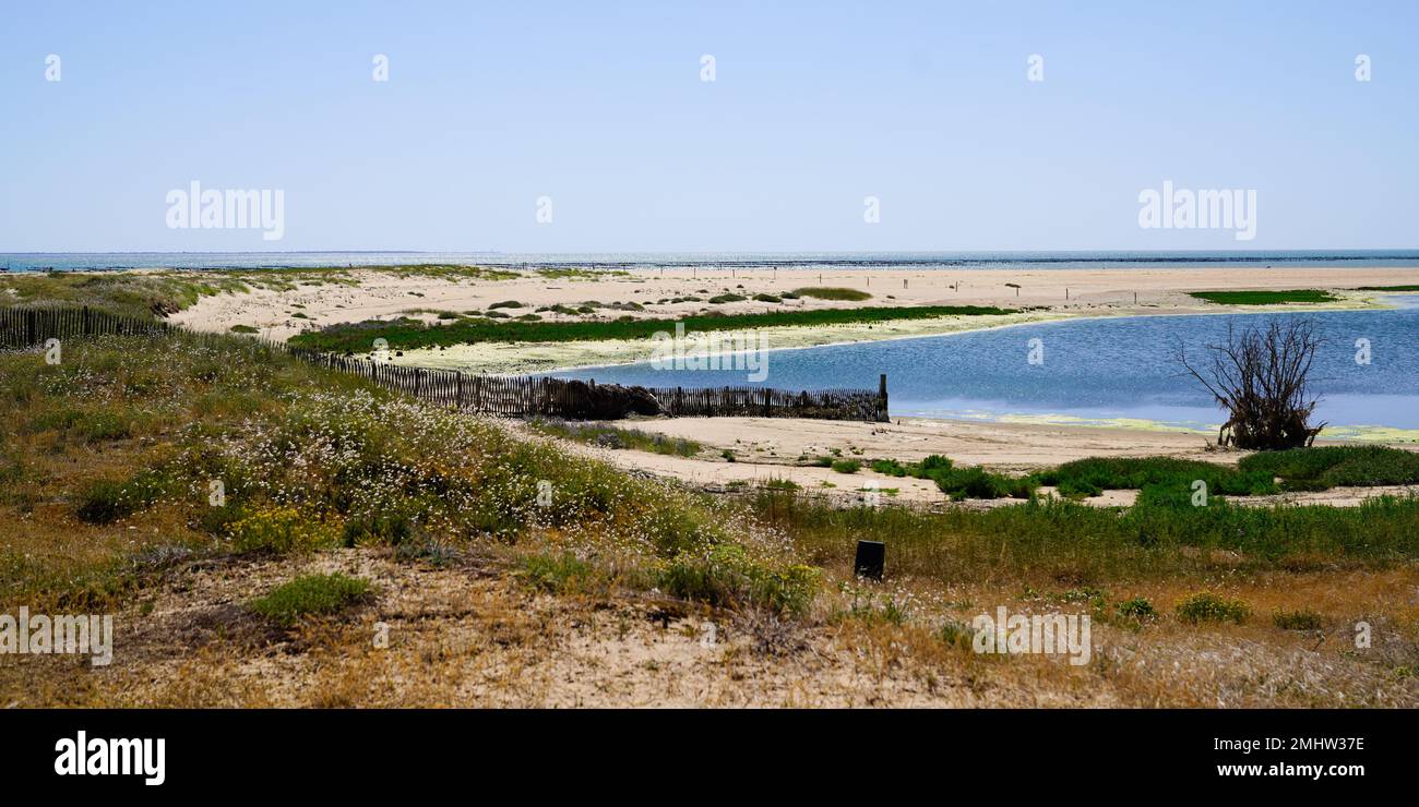 sandstrand mit blauem Wasser auf Talmont-Saint-Hilaire frankreich Stockfoto