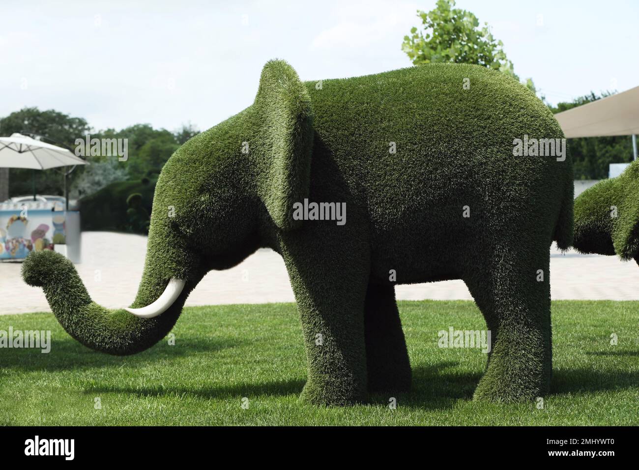 Wunderschöne Elefanten-förmige Topiare im Zoo an sonnigen Tagen. Landschaftsgärten Stockfoto