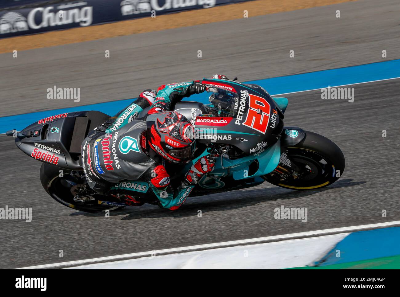 France's Fabio Quartararo of the Petronas Yamaha SRT Team rides during the qualifying round of Thailand's MotoGP at the Chang International Circuit in Buriram, Thailand, Saturday, Oct. 5, 2019. (AP Photo/Gemunu Amarasinghe) Stockfoto