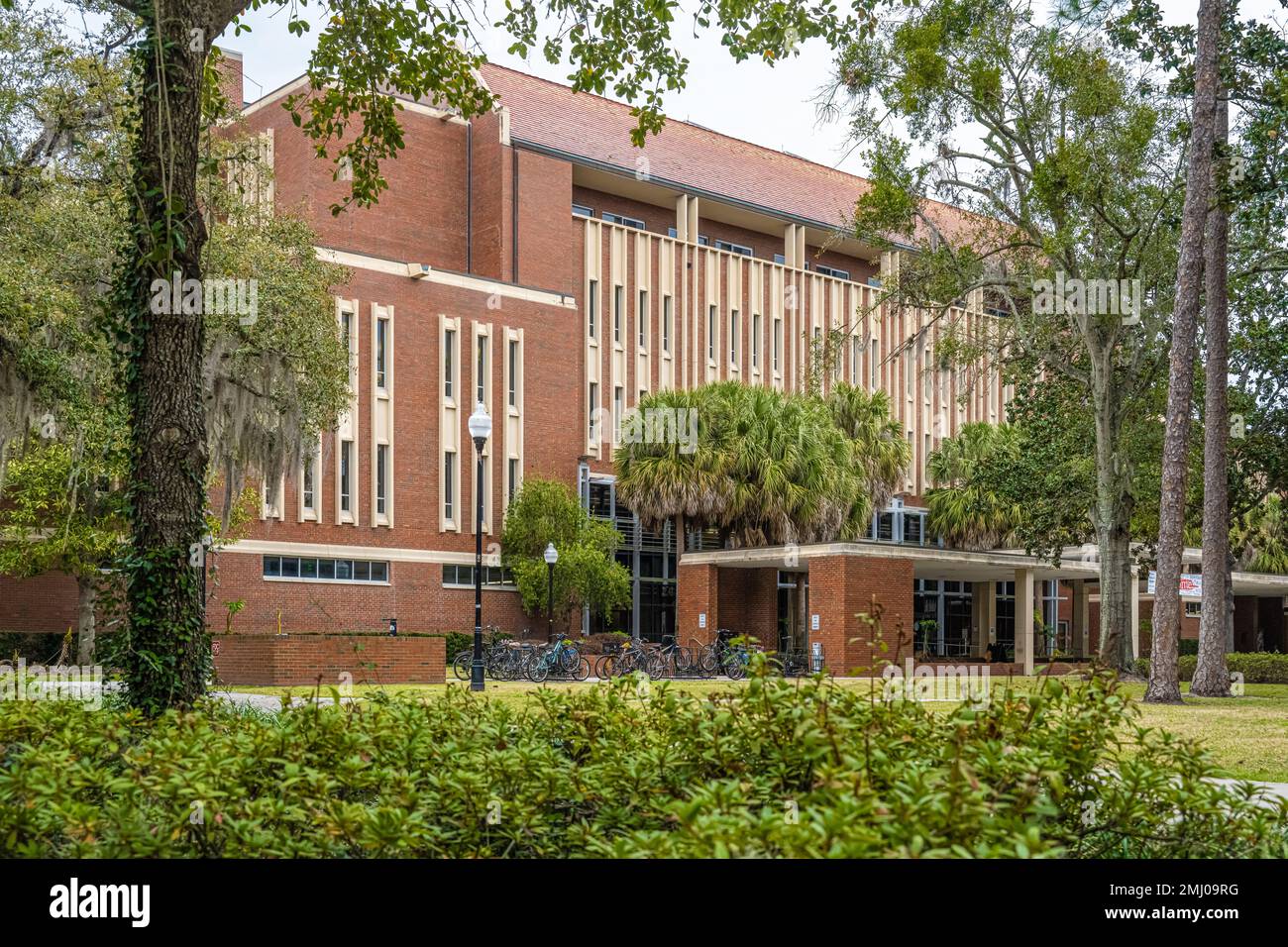 Die University of Florida's Library West, Teil der George A. Smathers Libraries, neben der Plaza of the Americas auf dem Campus der UF. (USA) Stockfoto