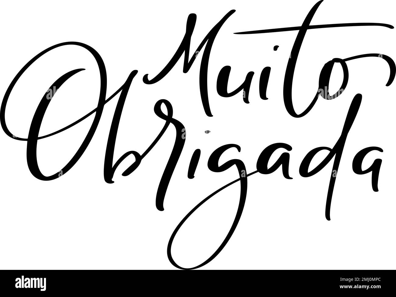 Muito Obrigada handgeschriebener Text. Vielen Dank in portugiesischer Sprache. Tintenabbildung. Moderne Pinselkalligraphie. Isoliert auf weiß Stock Vektor