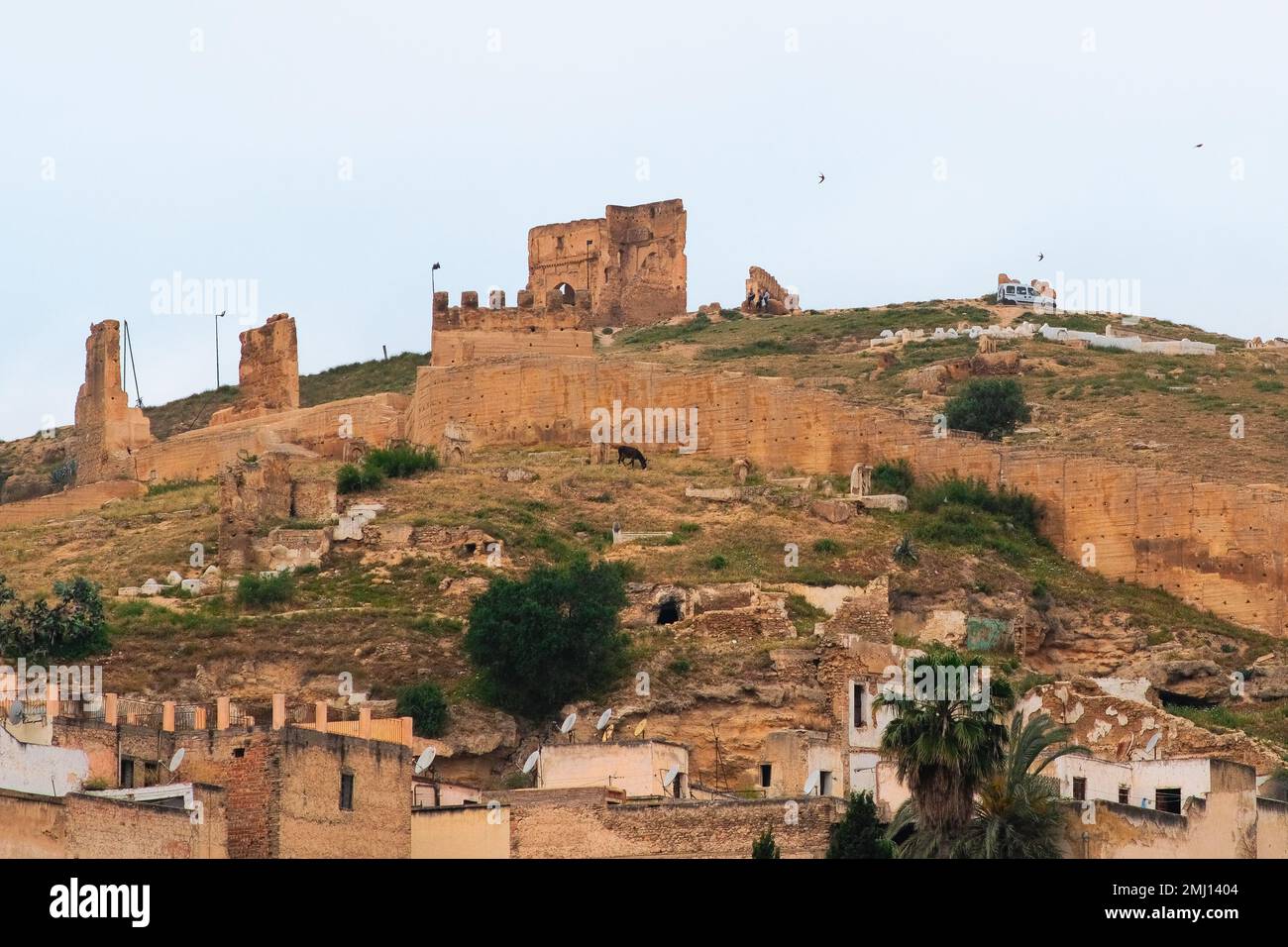 Fez, Marokko - Ruinen der Marinidengräber von Fez el Bali. Königliche Nekropole für die Marinid-Dynastie. Beliebter Aussichtspunkt über der historischen Stadt. Stockfoto