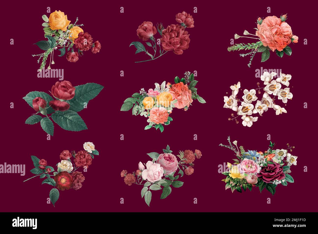 Vintage bunte Frühling Rosen Vektor handgezeichnete Illustration Set Stock Vektor