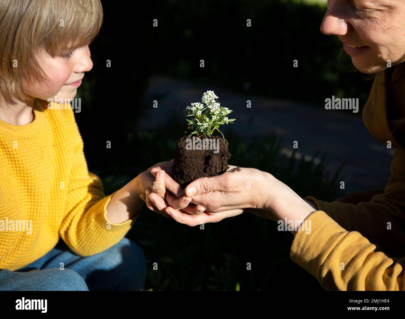 In den Händen eines Kindes und einer Frau, Mutter und Sohn, eine kleine Blume mit Erde, um sie in den Boden zu Pflanzen. Earth Day Concept, Öko-Ausbildung, Environ Stockfoto