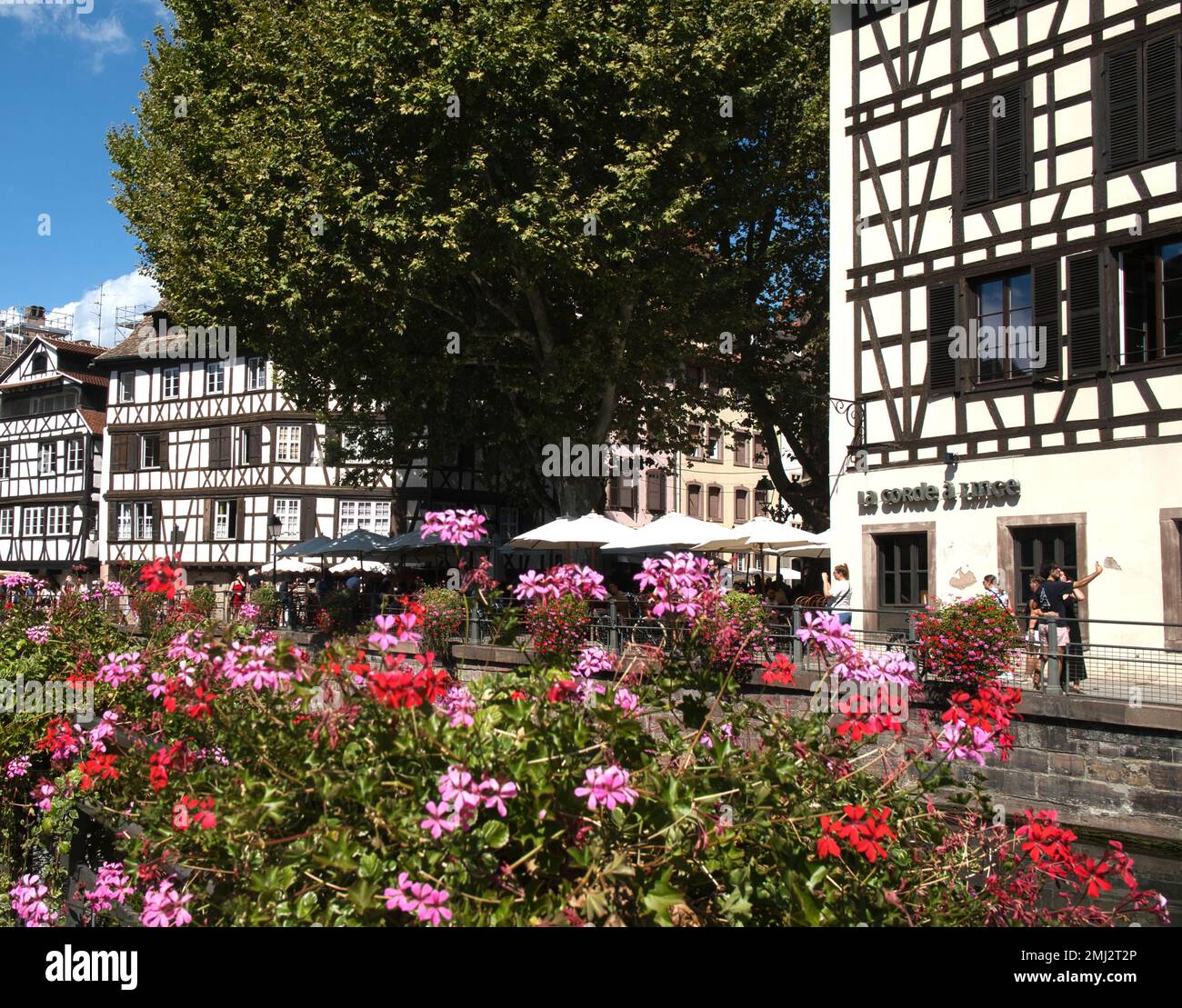 Fachwerkhäuser, Blumen und Cafeterrasse in der Nähe des Kanals, Straßburg, Elsass, Frankreich Stockfoto