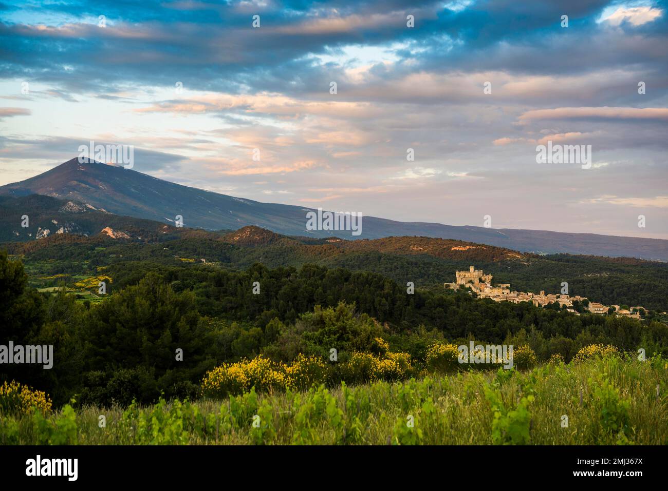 Mittelalterliches Bergdorf und Mont Ventoux, Le Barroux, Dentelles de Montmirail, Departement Vaucluse, Provence, Provence-Alpes-Cote dAzur, Frankreich Stockfoto