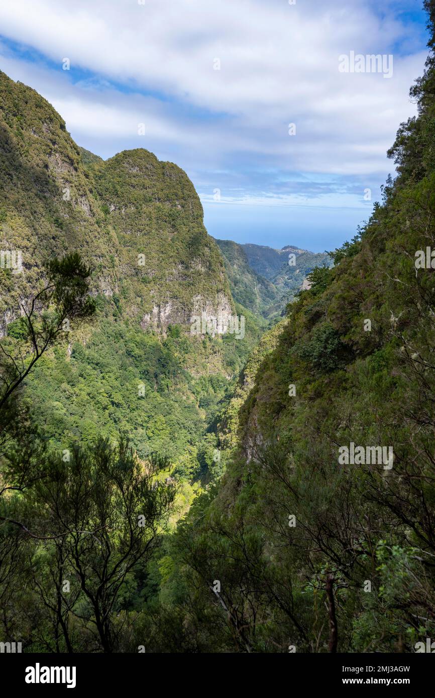 Blick auf steile bewaldete Berge, Levada do Caldeirao Verde, Parque Florestal das Queimadas, Madeira, Portugal Stockfoto
