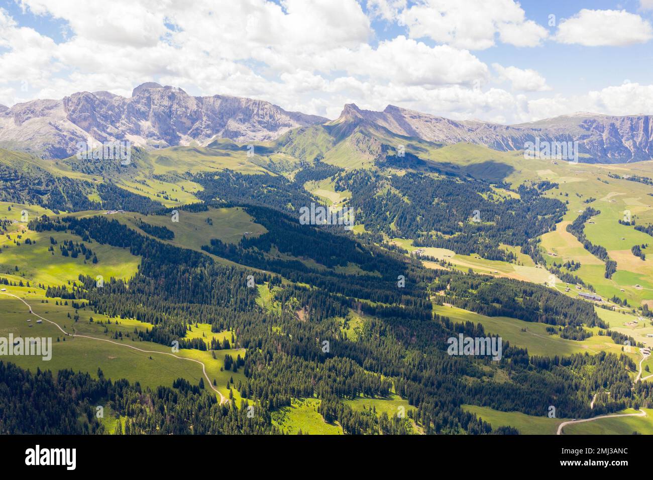 Blick auf die Bergwiesen und Wanderweg im Sommer Stockfoto