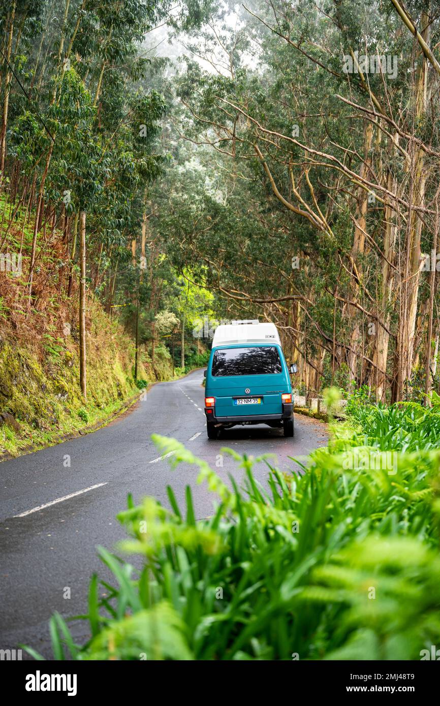 VW-Bus auf einer Straße im Wald, Madeira, Portugal Stockfoto