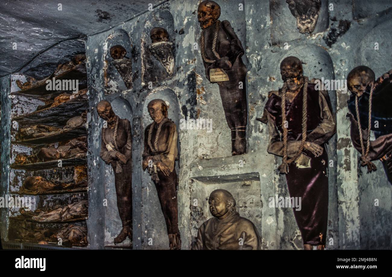 Capuchin-Krypta, Convento dei Cappuccini mit Mumien, die stehen und liegen, in voller Regalia oder gekleidet, aufgemacht, Palermo, Sizilien, Palermo, Sizilien, Italien Stockfoto