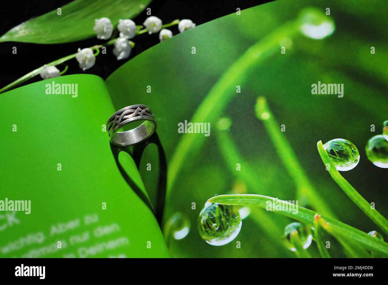 Ring in einem Buch wirft einen herzförmigen Schatten Stockfoto