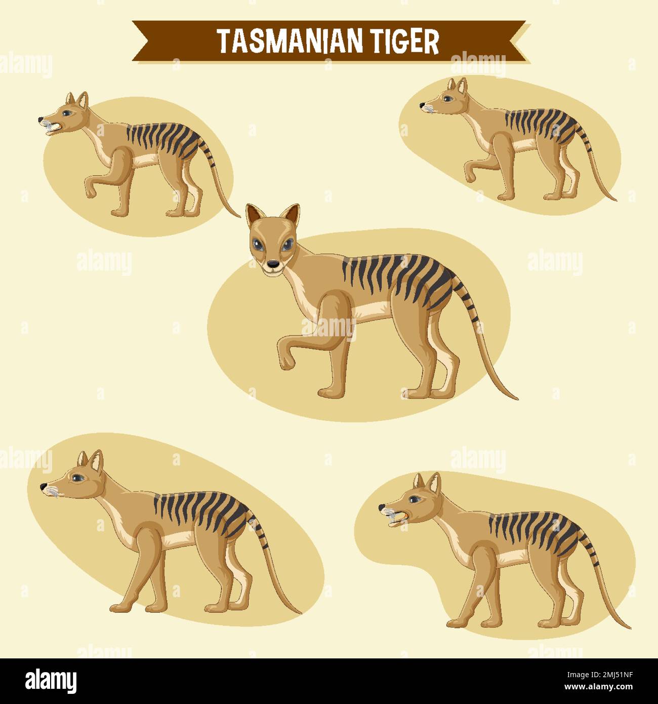 Ein Satz tasmanischer Tiger-Aufkleber-Set-Illustration Stock Vektor