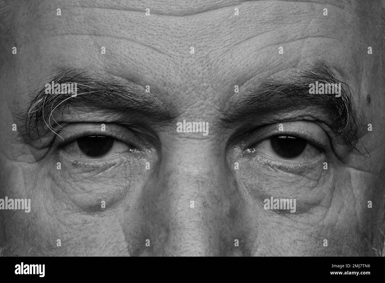 Die Augen des alten Mannes in Schwarz und Weiß. Stockfoto