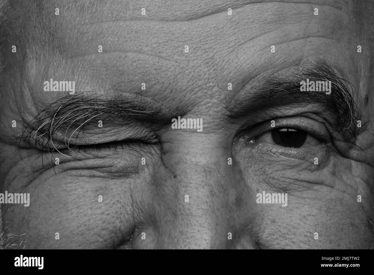 Die Augen blinzeln schwarz auf weiß. Stockfoto
