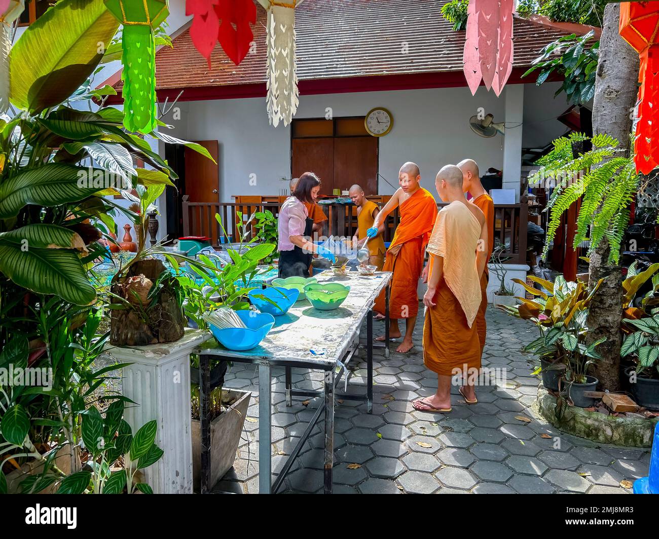 Mueang, Chiang Mai, Thailand, Buddhistische Gruppen-Mönche, Serviert Mahlzeiten, draußen, 'Wat Chedi Luang', buddhistischer Tempel, Restaurant mit geteilten Platten Stockfoto