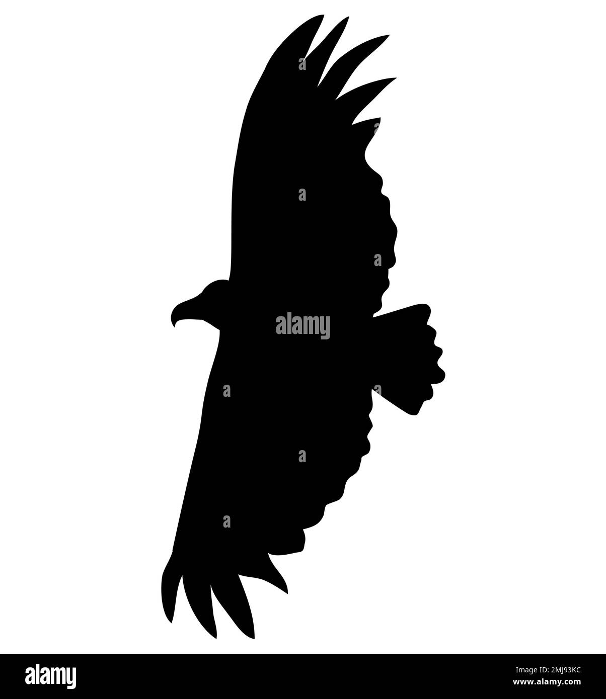 Vektorsilhouette des Raubvogel (Adler) im Flug mit gespreizten Flügeln. Stock Vektor