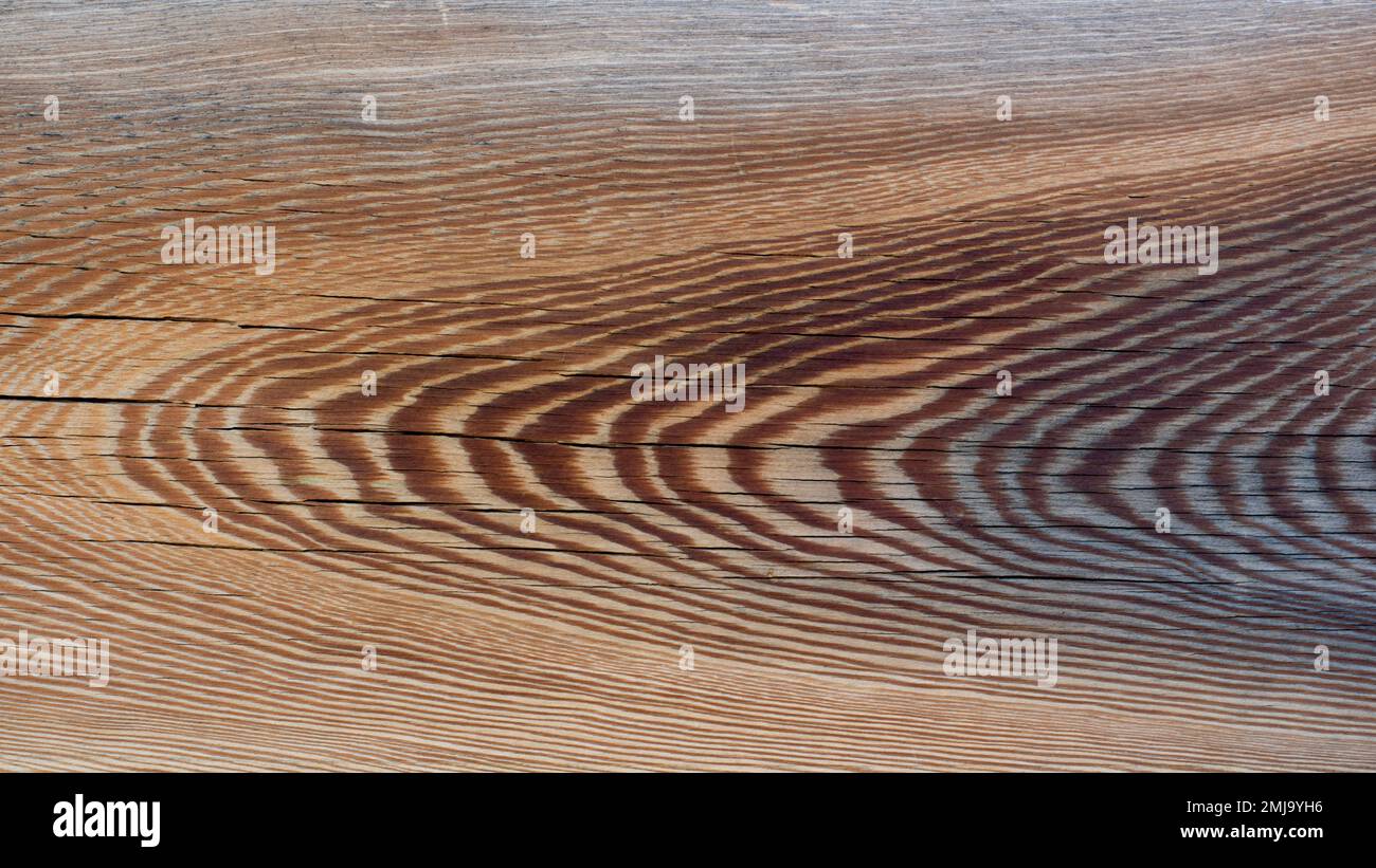 Detalle de las vetas de una tabla de madera antigua, Fondo textura Stockfoto