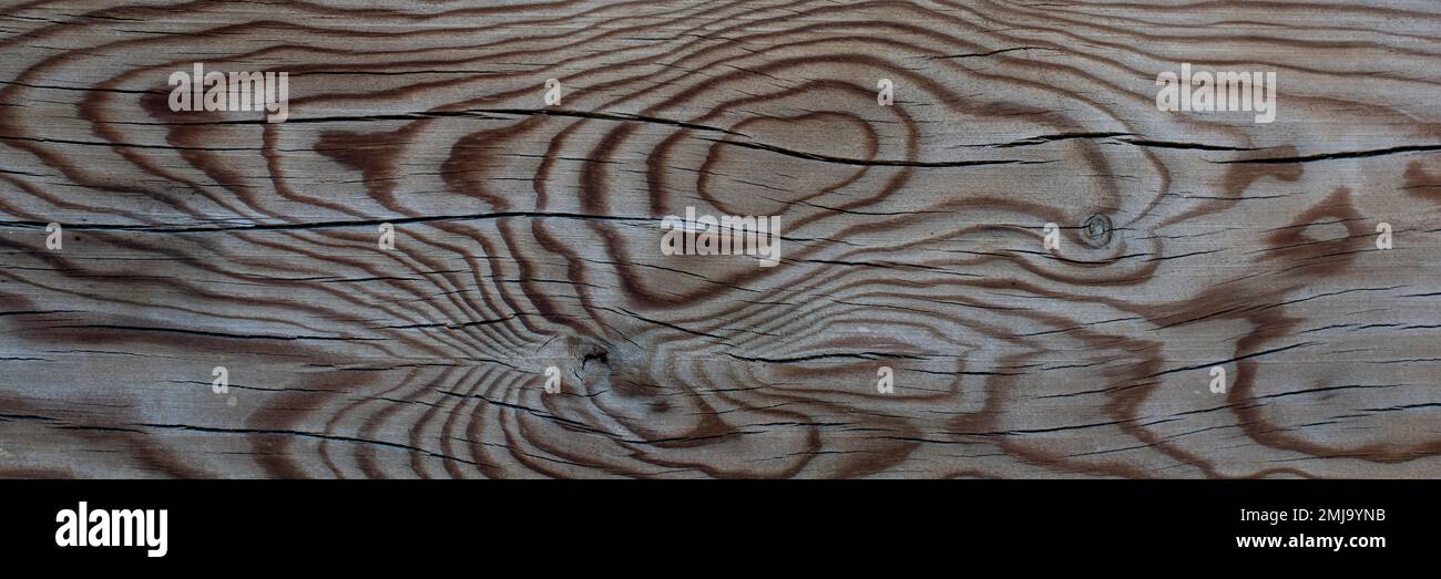 Detalle de las vetas de una tabla de madera antigua, Fondo textura Stockfoto