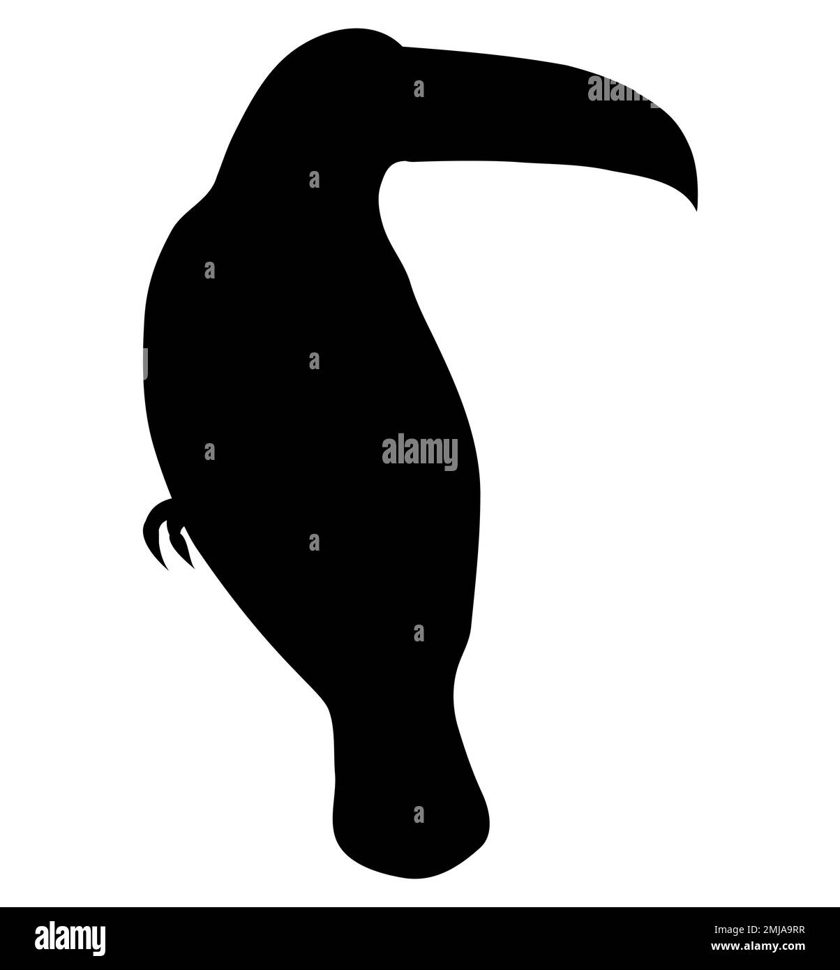 Toucan toco, Ramphastos toco, schwarze Silhouette, Vogel isoliert auf weiß Stock Vektor