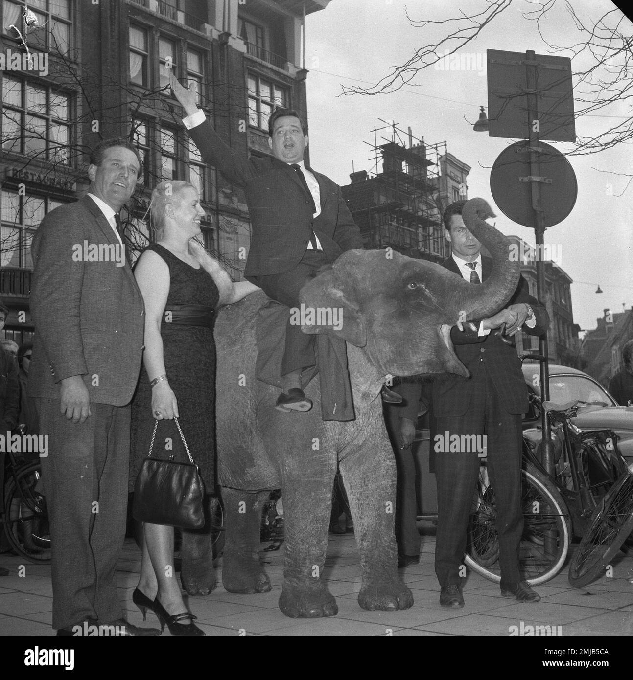 Zirkus boltini elefant -Fotos und -Bildmaterial in hoher Auflösung – Alamy