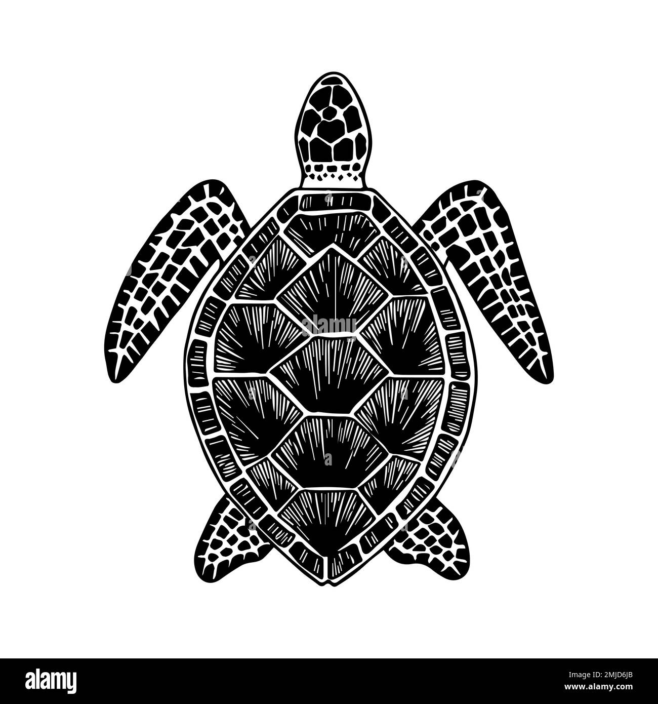 Schildkröte. Handgezeichnetes stilisiertes Bild einer Schildkröte. Schwarzweißes Grafikbild isoliert auf weißem Hintergrund. Vektordarstellung. Stock Vektor
