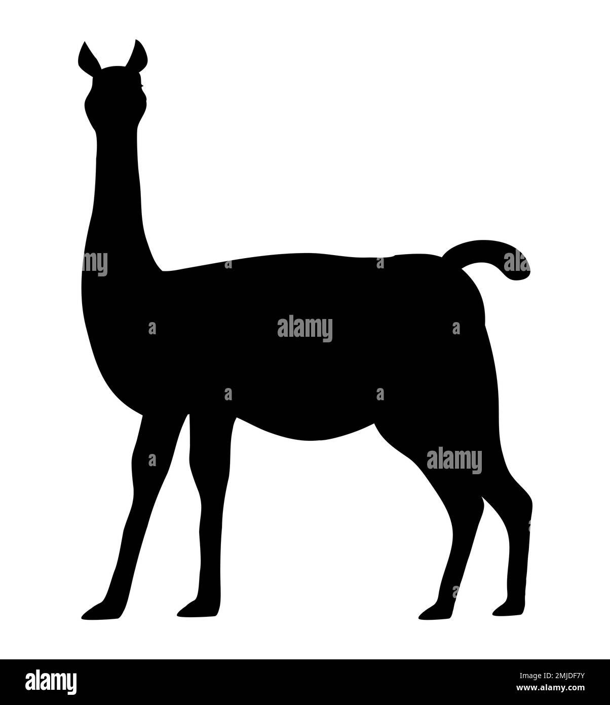 Seltene Guanako-Silhouette. Lama-ähnliches wildes Tier. Säugetier der Gattung Lamas der Cameliden-Familie. Ein gefährdetes Tiervektorbild Stock Vektor