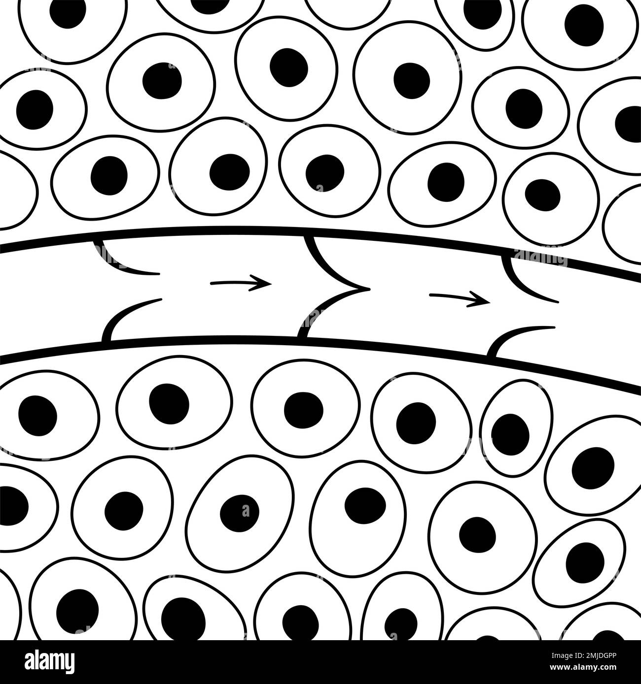 Lymphgefässe, konzeptionelle Illustration Stockfoto