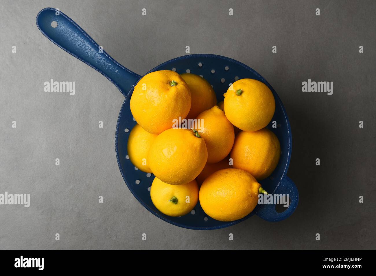 Frisch gepflückte Zitronen in einem blauen Kunststoffsieb auf einer grauen Schieferfliese mit Kopierbereich. Stockfoto