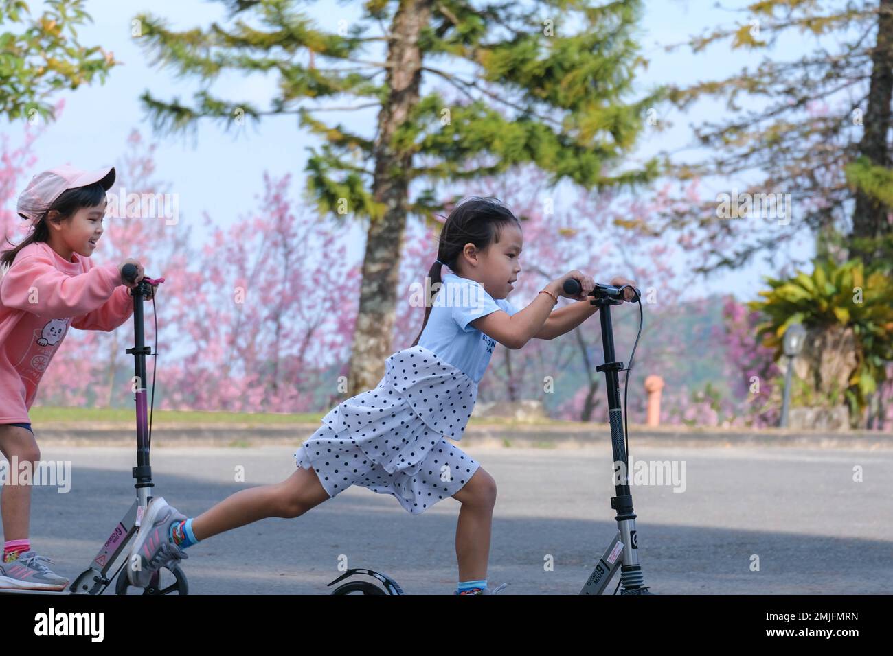 Aktive Schwestern, die an Sommertagen Roller auf der Straße im Park fahren. Glückliche asiatische Kinder, die im Park Kick-Roller fahren. Aktive Freizeit und Outdoor Stockfoto