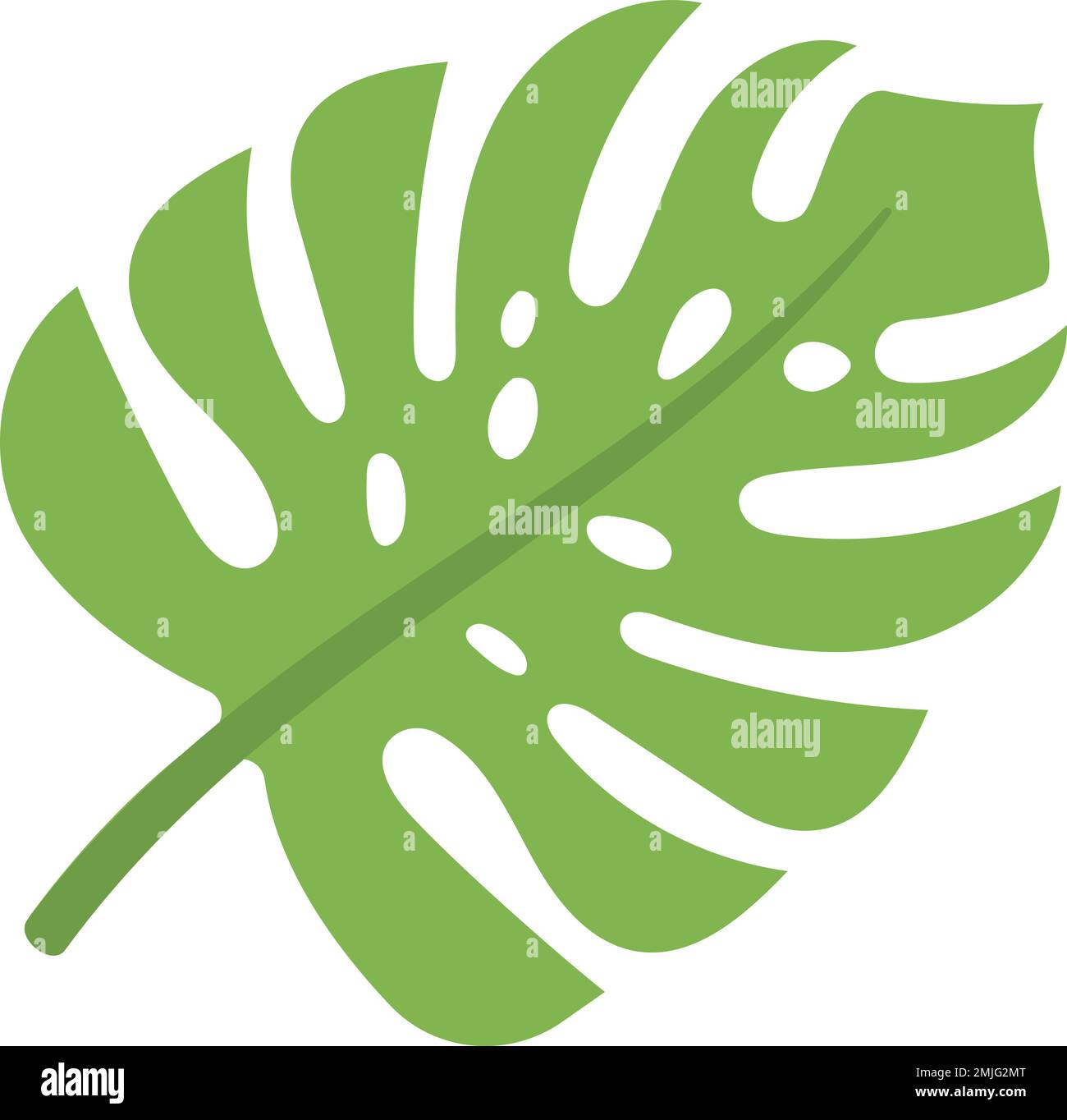 Monstera-Blatt. Grne tropische Dschungelpflanze Stock-Vektorgrafik - Alamy