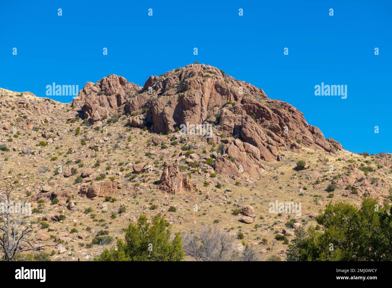 Steinsäulen, auch Hoodoos genannt, im Chiricahua National Monument im Cochise County in Arizona, Arizona, Arizona, Arizona, USA. Stockfoto
