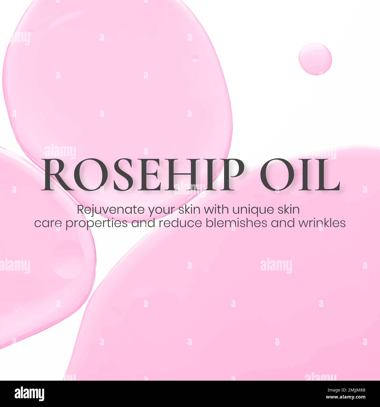 Beauty Instagram Post Vorlage Vektor Stock Vektor