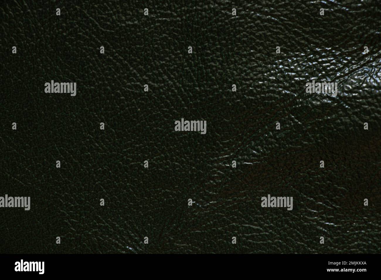 Dunkelgrünes echtes Leder als Nahaufnahme des Hintergrunds Stockfoto