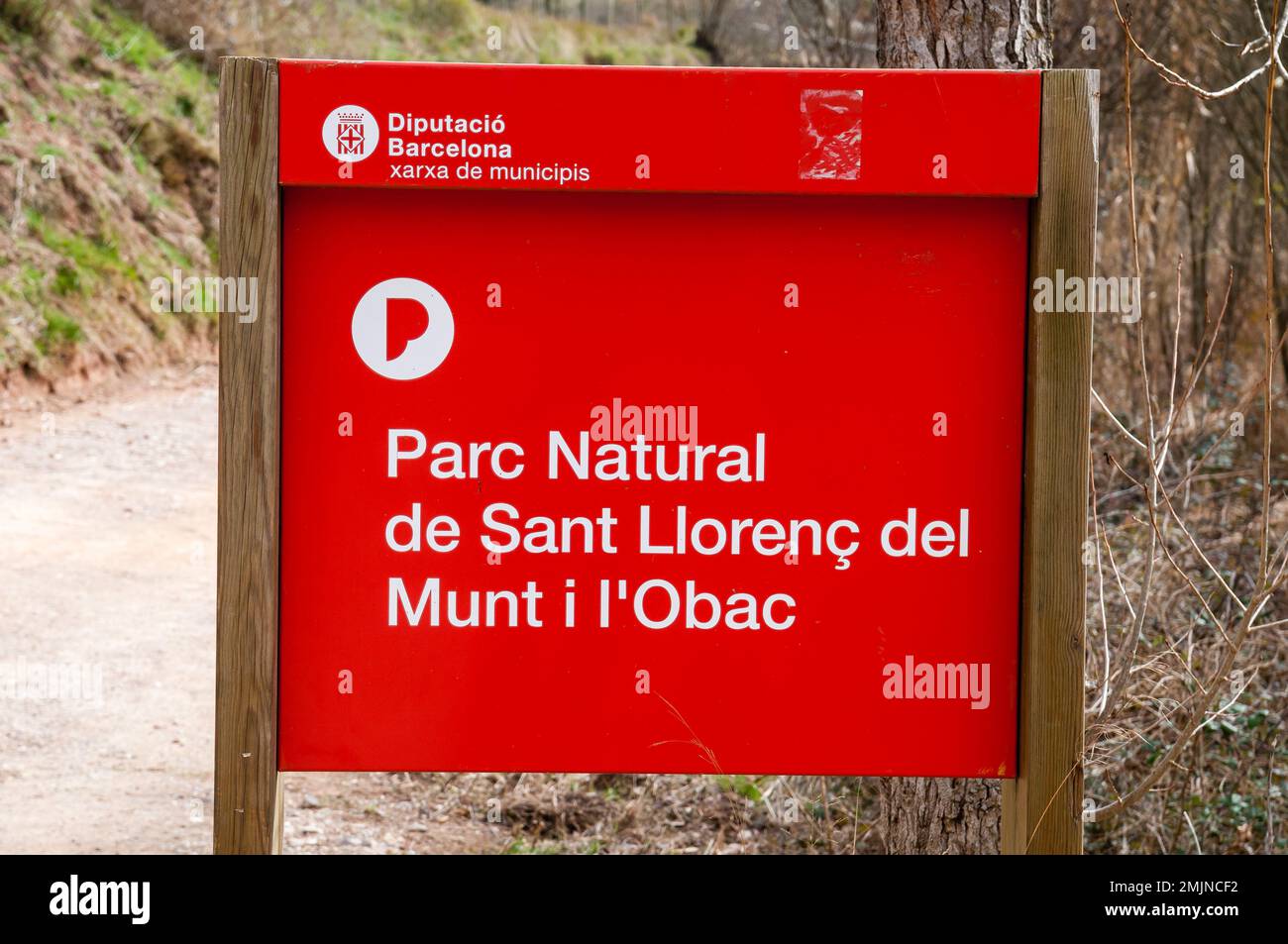 Sant Llorenc del Munt i l'Obac Naturpark, neben einer Schotterstraße, Katalonien, Spanien Stockfoto