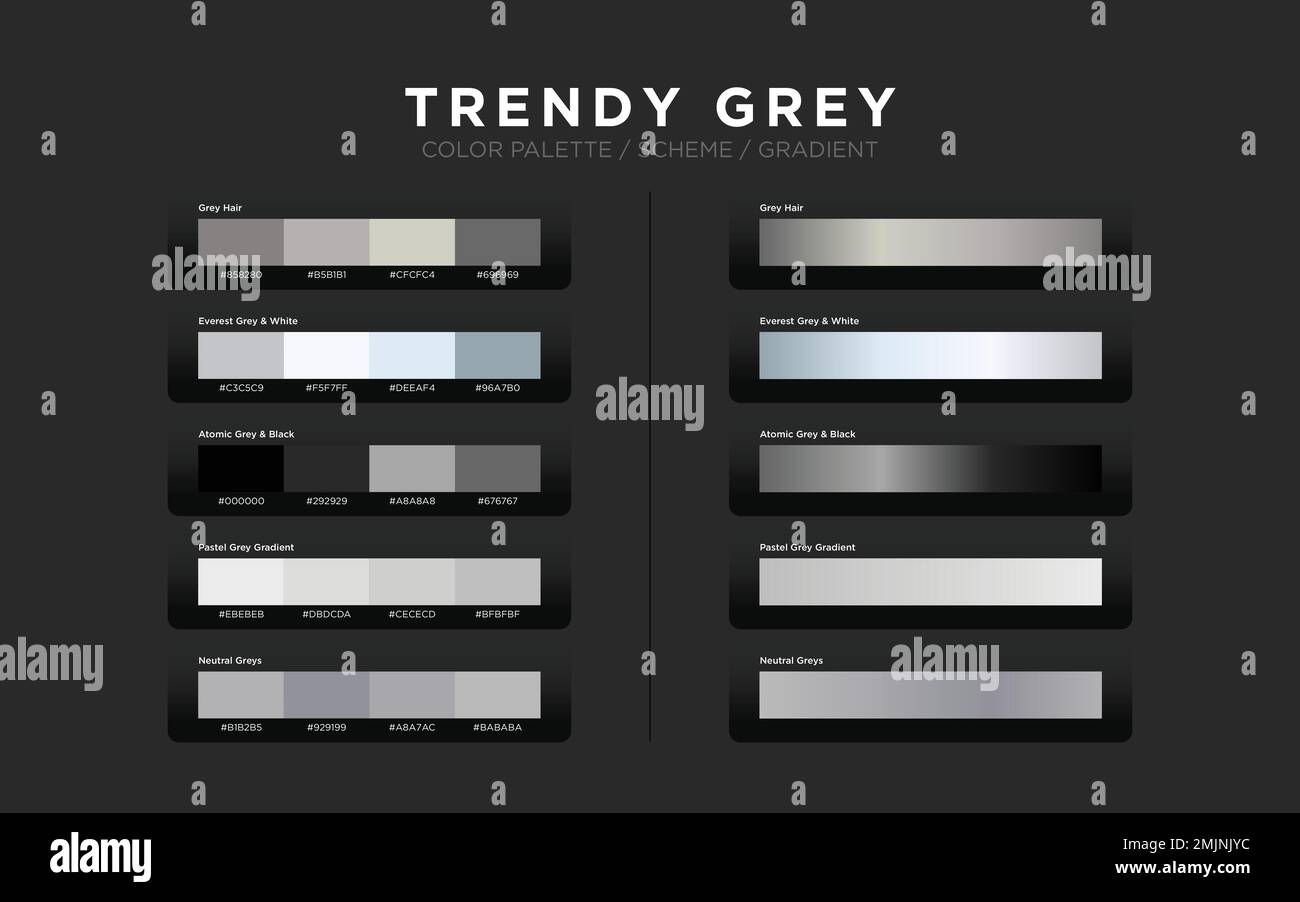Graue Farbpaletten, Farbschemata, Farbverläufe. Satz moderner Farbelemente für das Webdesign für Grafiklayout, Website-Vorlage, ui ux-Design. Stock Vektor
