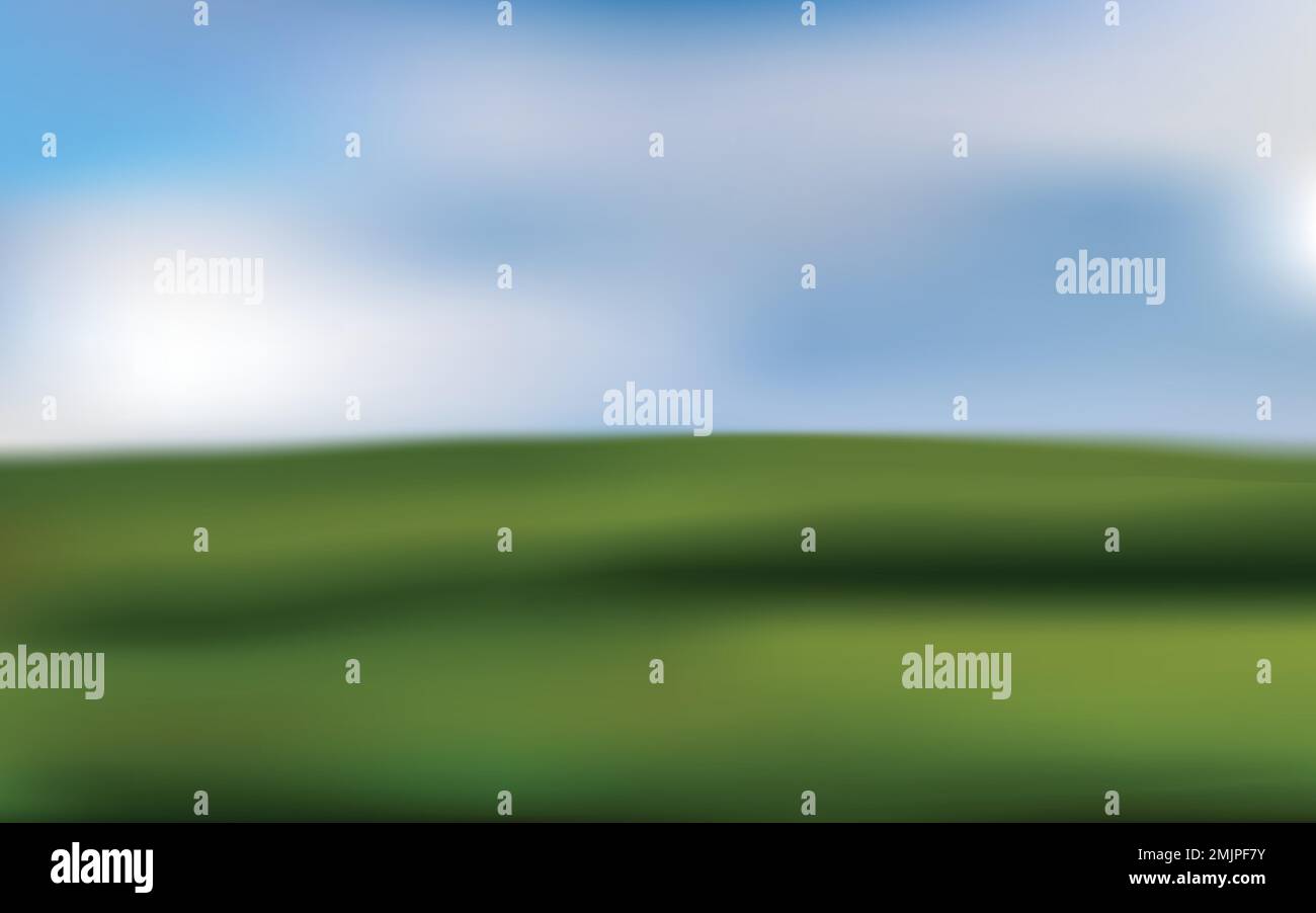 Grünes Feld und blauer Himmel mit weißen Wolken. Abstrakter Naturhintergrund. Stock Vektor