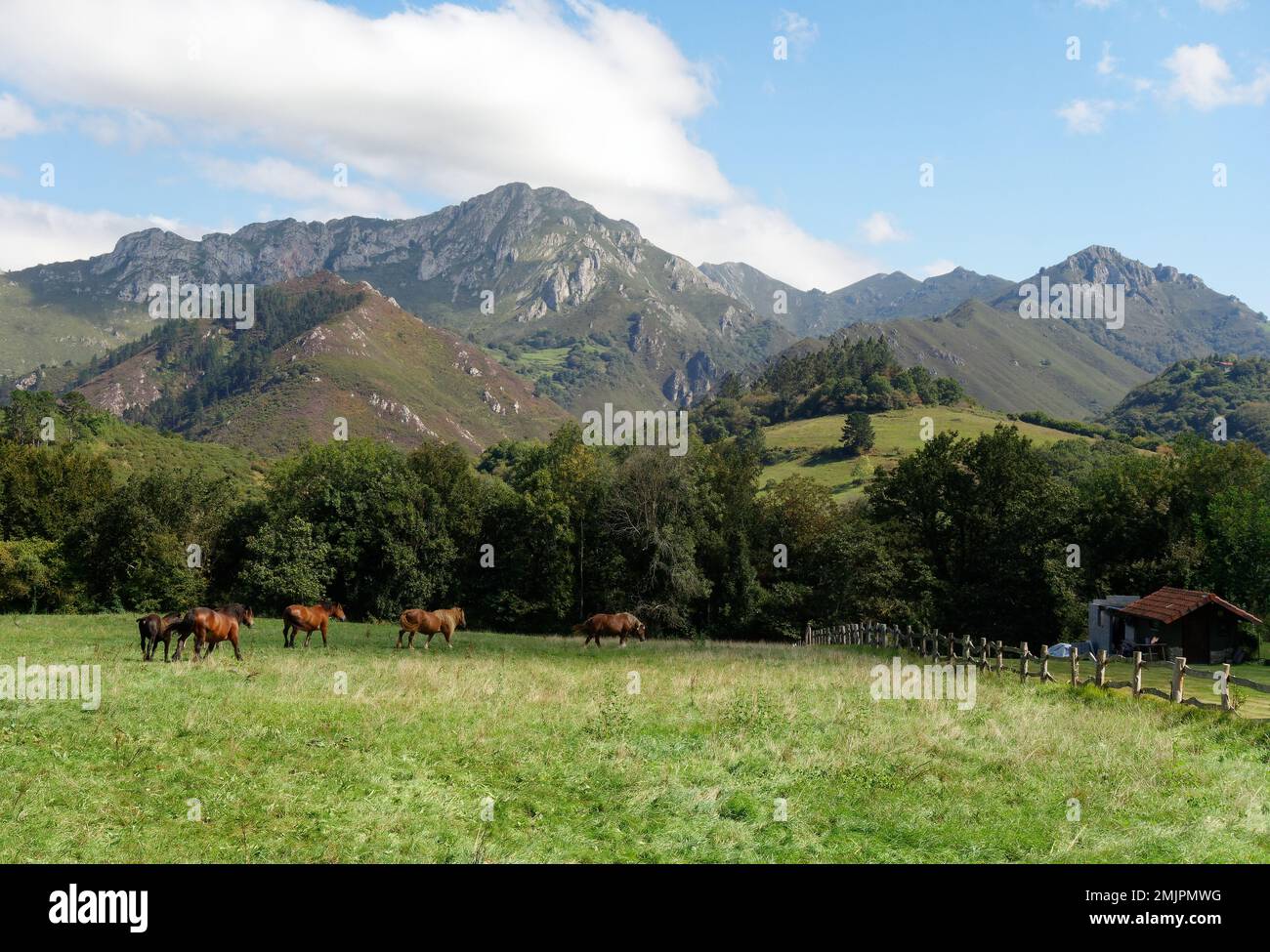 Asturien und Kantabrien sind bekannt für ihre Strände, aber der Zauber liegt in den Bergen des Picos de Europa Stockfoto