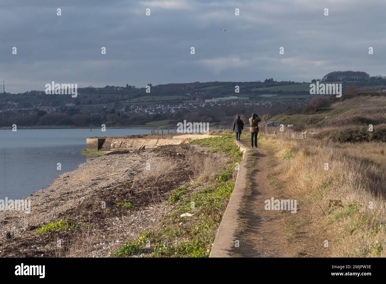Im Winter laufen und beobachten Sie Vögel von der Meereswand im Southmoor Nature Reserve, Teil von Langstone Harbour SSSI, Hampshire, England, Großbritannien Stockfoto