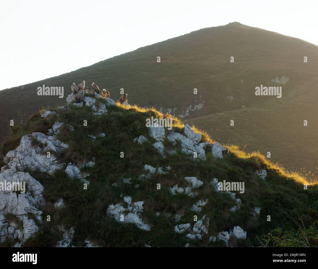 Asturien und Kantabrien sind bekannt für ihre Strände, aber der Zauber liegt in den Bergen des Picos de Europa Stockfoto