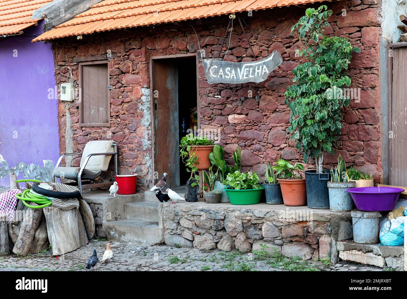 Blumen und Gemüse in Töpfen vor einem Eingang zum traditionellen alten Haus in Cidade Velha, der ältesten Siedlung in Cabo verde Stockfoto