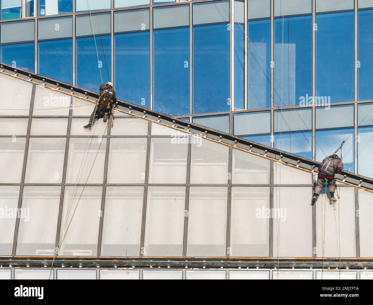 Zwei Kletterer mit Sicherheitsseilen reinigen Fenster oder reparieren Wände moderner Wolkenkratzer. Gefährliche Arbeit in der Metropole. Stockfoto