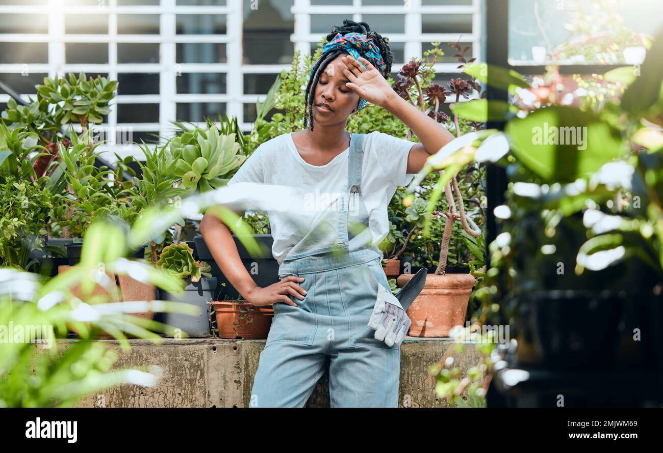 Müde, Gärtnerin oder schwarze Frau mit Ermüdung, Stress oder Burnout nach der Arbeit an Pflanzen oder Blumen. Sie ist frustriert, schwitzt oder erschöpft Stockfoto