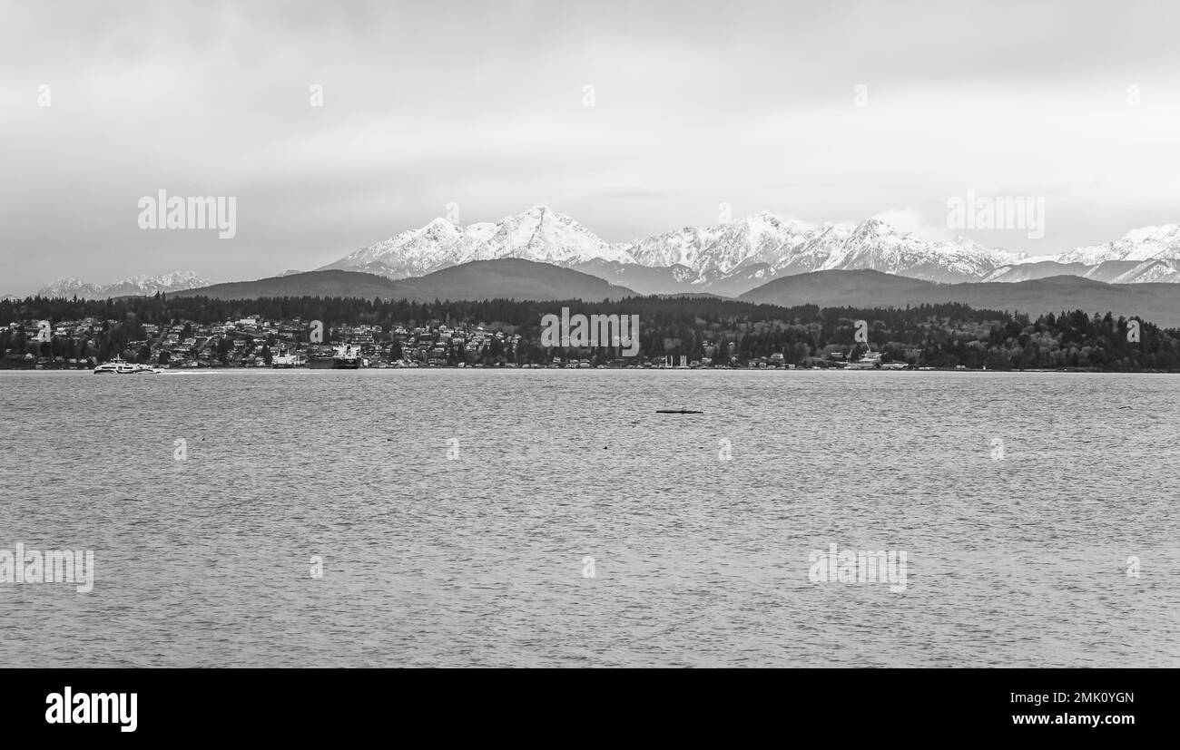 Die Olympic Mountains im Bundesstaat Washington sind von dicken Wolken umgeben. Stockfoto