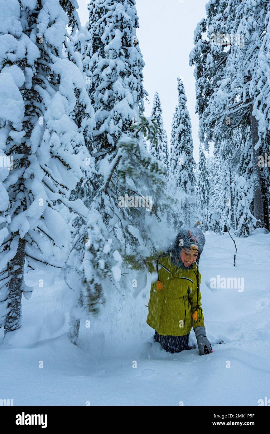 Glücklicher kleiner Junge, der mit verschneiten Bäumen spielt, ISO Syote, Nordostrobothnia, Lappland, Finnland Stockfoto