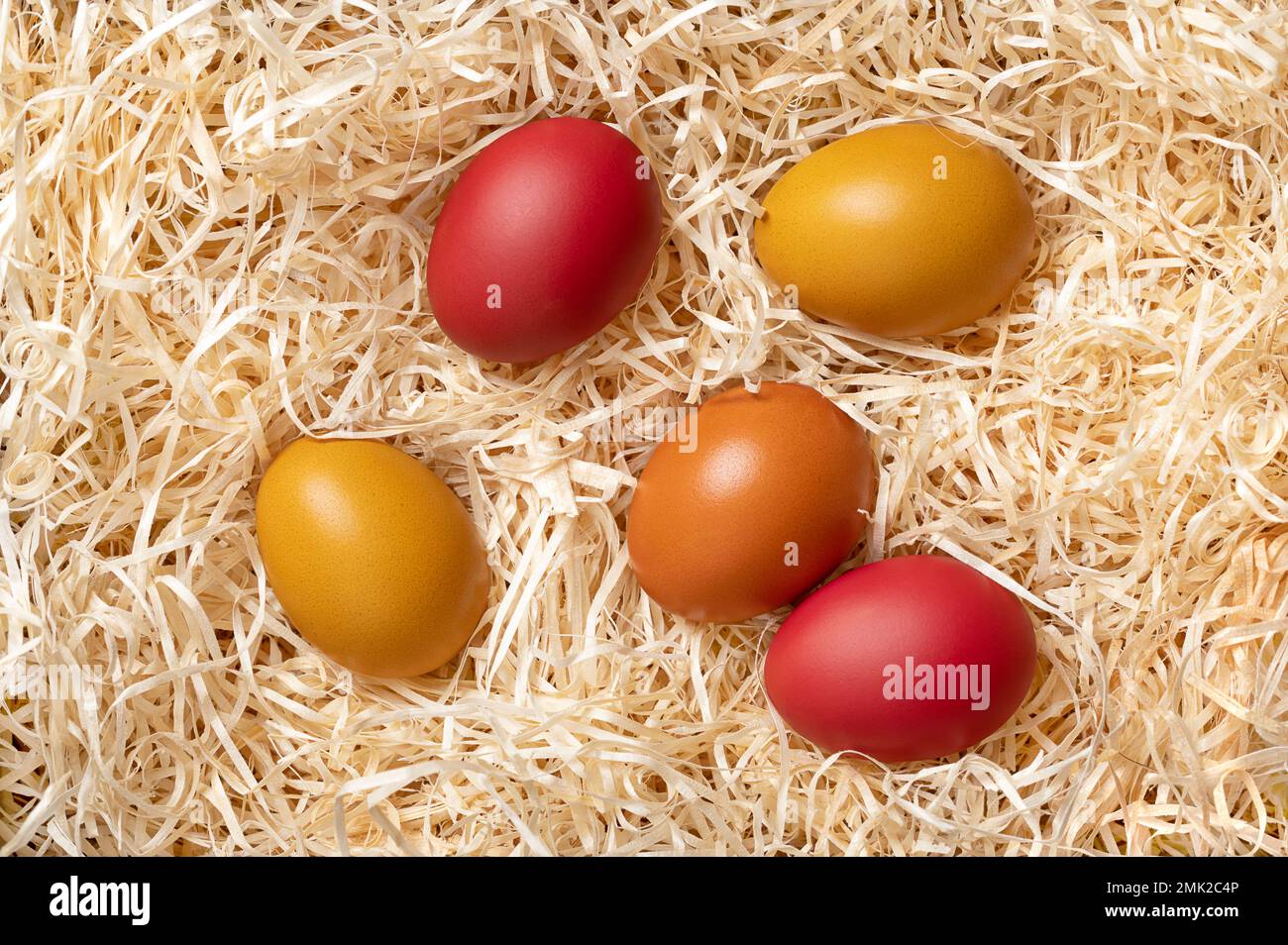 Farbenfrohe Ostereier in einem Nest aus Holzwolle, von oben. Paschaleier, hart gekochte, bunt gefärbte Hühnereier, in einem weichen Bett aus Holzsplittern. Stockfoto