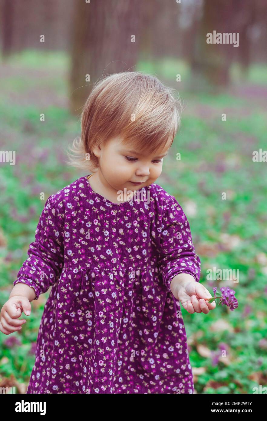Blondes Baby in einem farbigen Kleid, das Blumen in einer Waldlude hält Stockfoto