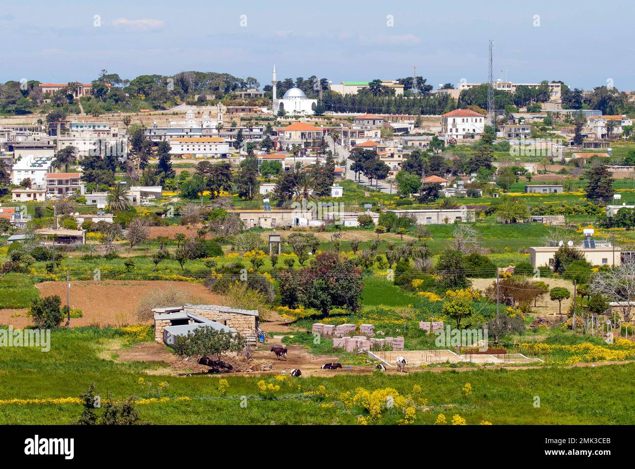 Rizokarpaso / Dipkarpaz im Osten der Karpasia-Halbinsel Stockfoto