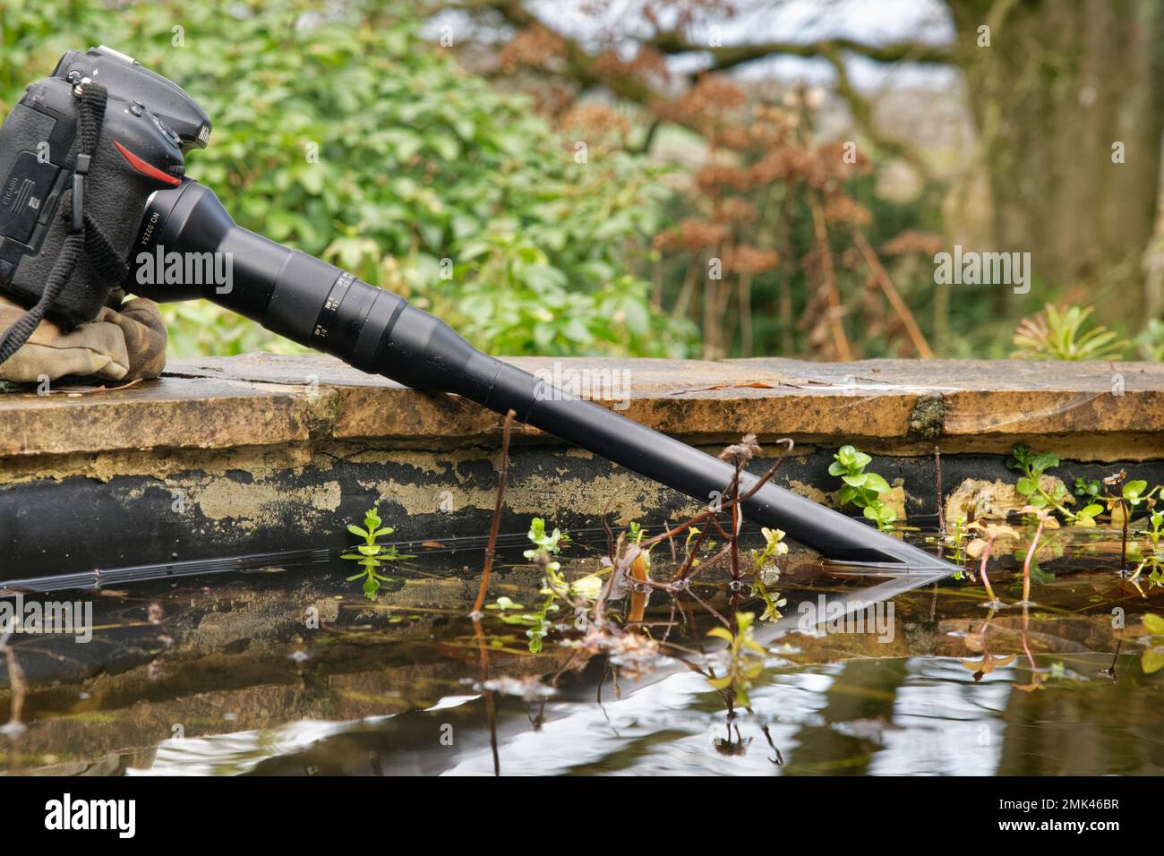 Makrosondenobjektiv auf einer DSLR-Kamera montiert und taucht unter Wasser, um das Leben im Gartenteich zu fotografieren, Wiltshire, Großbritannien, Januar. Stockfoto